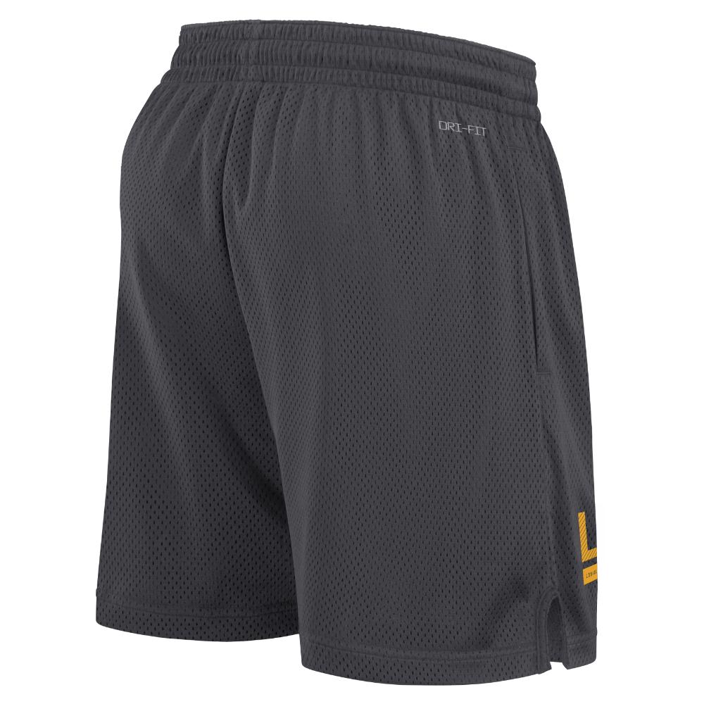 Lsu nike shorts online